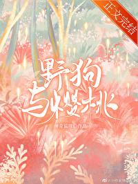 野狗与樱桃笔趣阁全文阅读