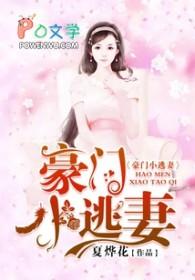 豪门明星的小逃妻