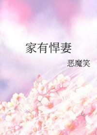 家有悍妻何愁不成功